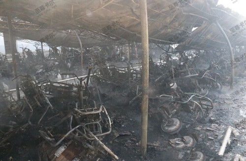 00300390287_9bf2f6f0.jpg 00300390287_9bf2f6f0.jpg