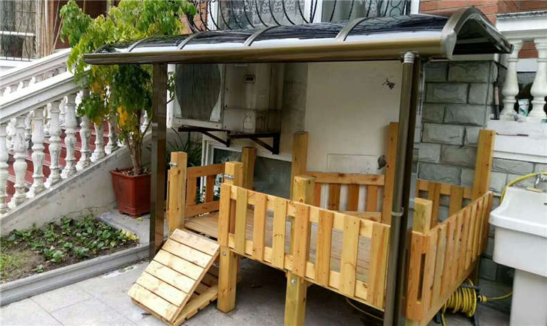 新穎時(shí)尚的寵物雨棚